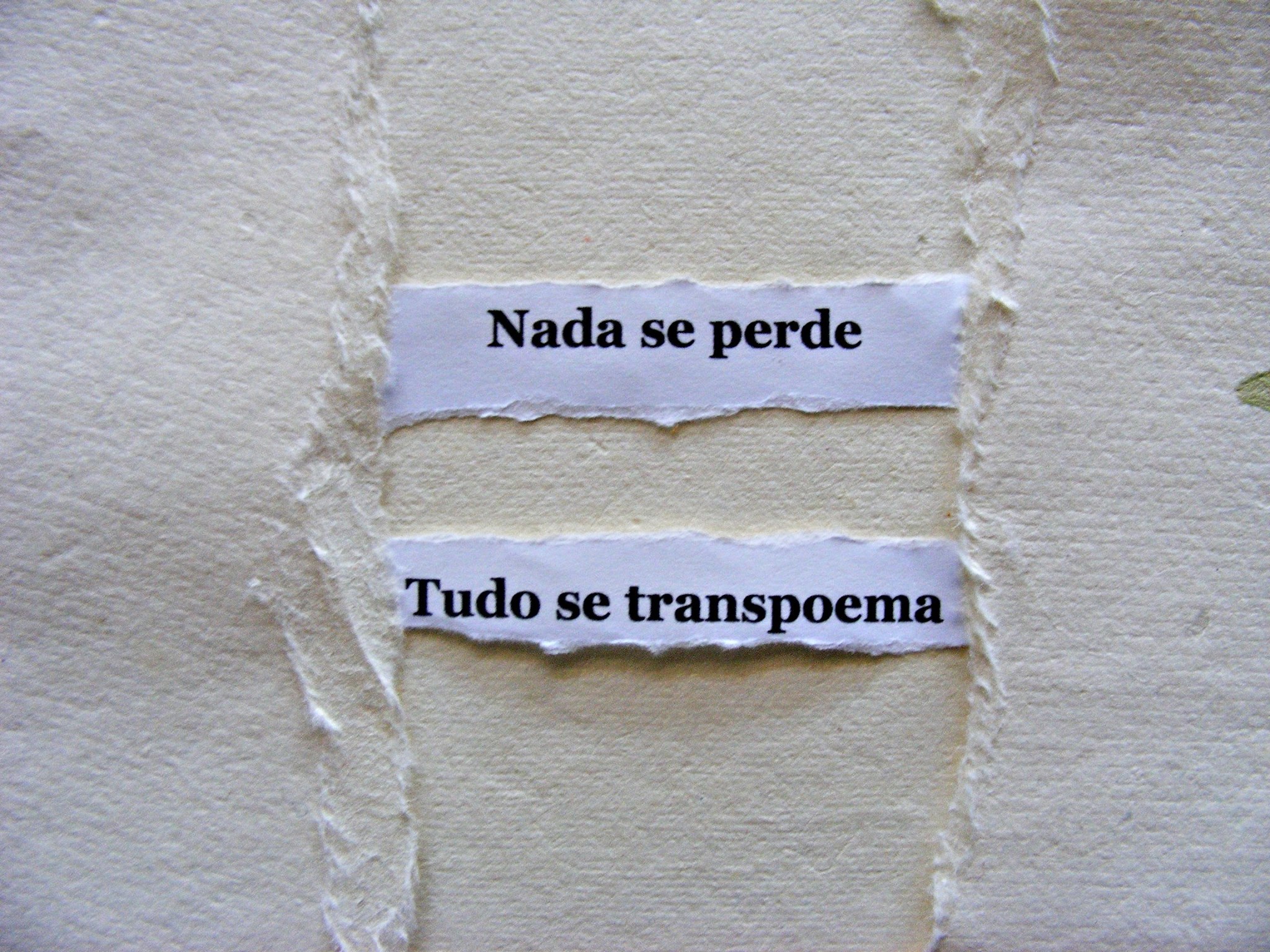trans_poema